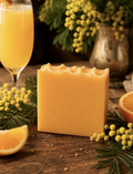 Mimosa
