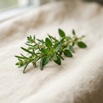Grass-Fed Tallow